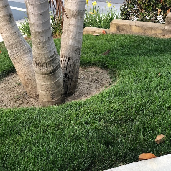 Meet your Posher, Lawrence - Picture 1 of 1